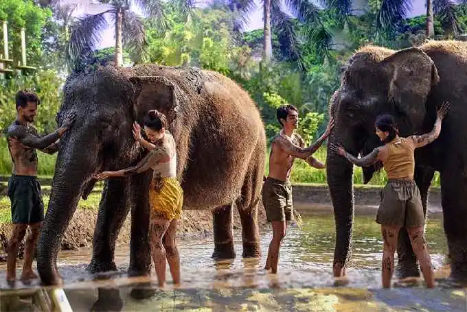 �o���E�Y�[(Bali Zoo)